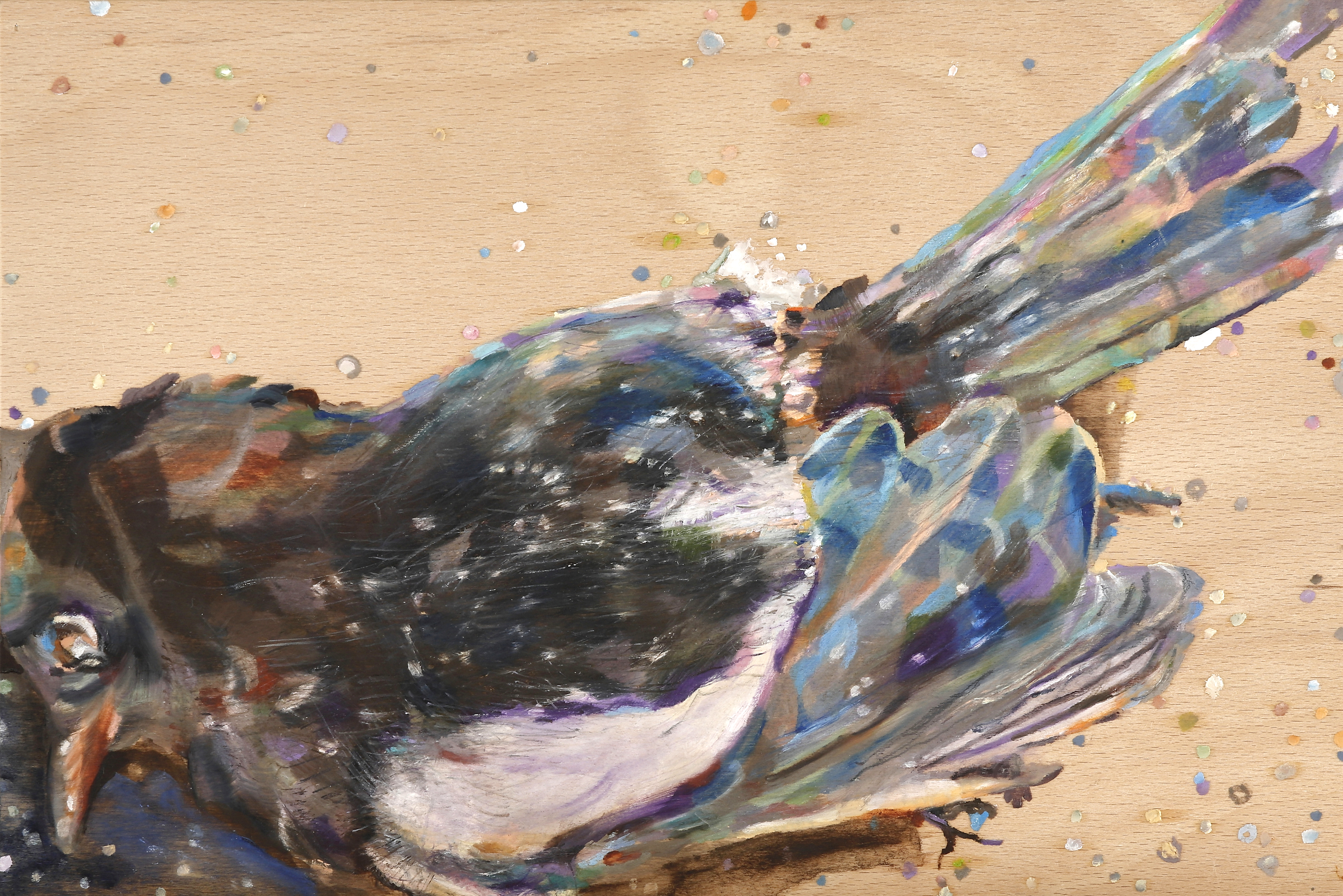 Elster |  magpie, 2017